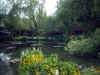 Monethave_01.jpg (110881 byte)