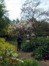 Monethave_02.jpg (112798 byte)