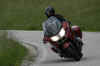 sving.jpg (92156 byte)