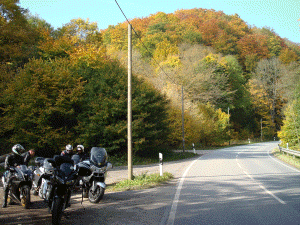 dsc01608.gif (439976 byte)