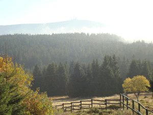 dsc01611.gif (302615 byte)