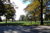 16.jpg (1179143 byte)