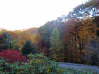 204.jpg (1056897 byte)
