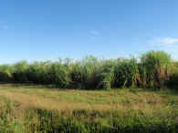 712.jpg (1065522 byte)