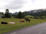 0801.jpg (763539 byte)